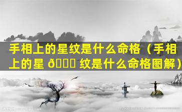 手相上的星纹是什么命格（手相上的星 🐅 纹是什么命格图解）